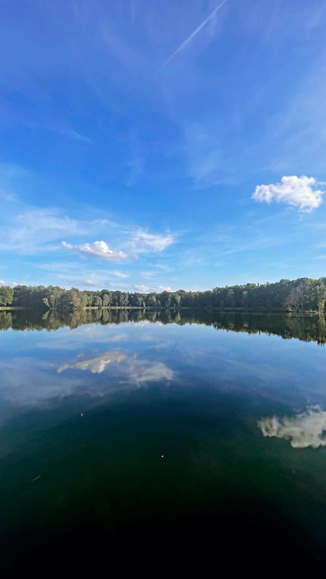 Boshuisje Pinus Sonnevijver Residences Lanaken Exteriör bild