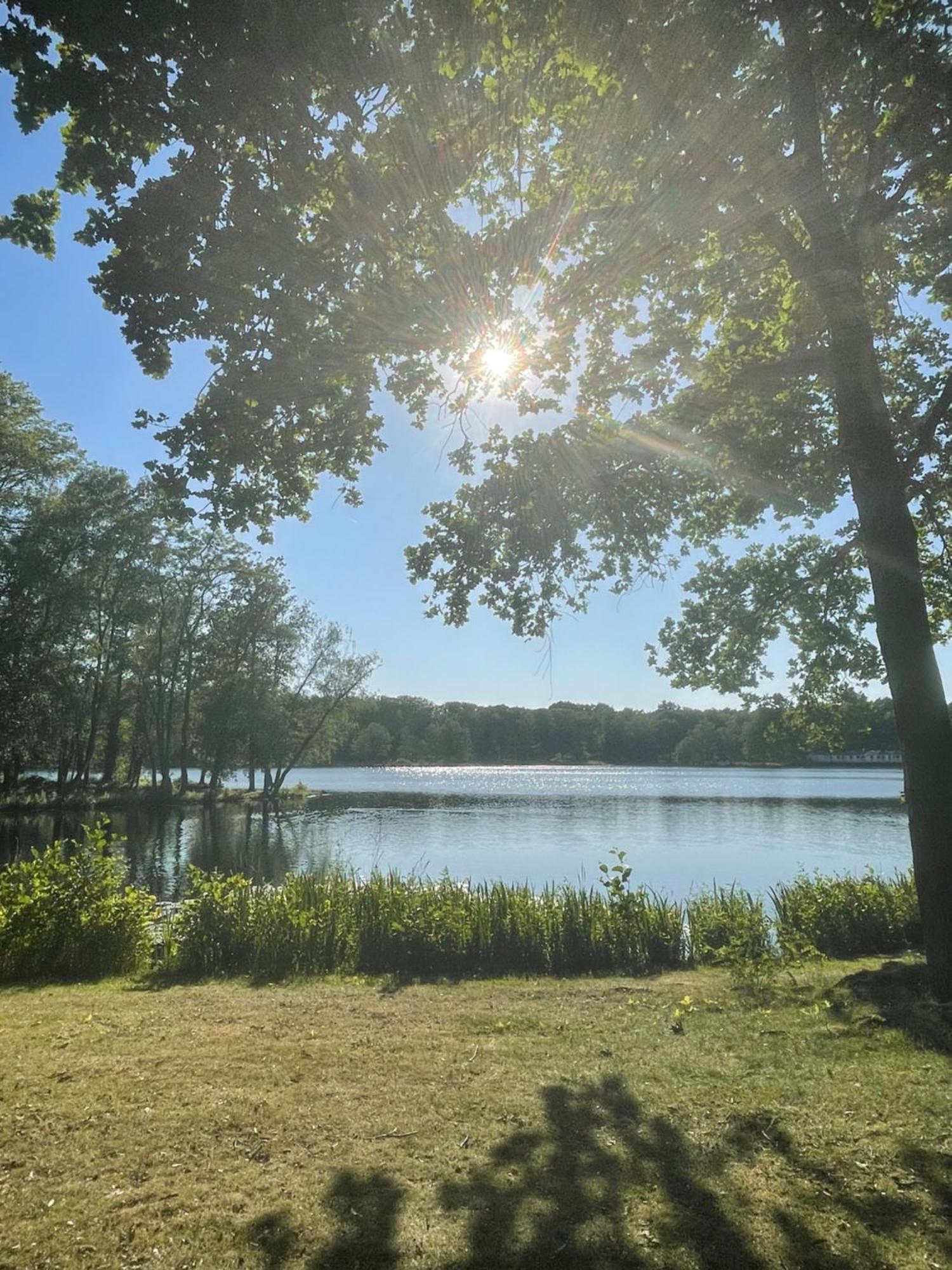 Boshuisje Pinus Sonnevijver Residences Lanaken Exteriör bild